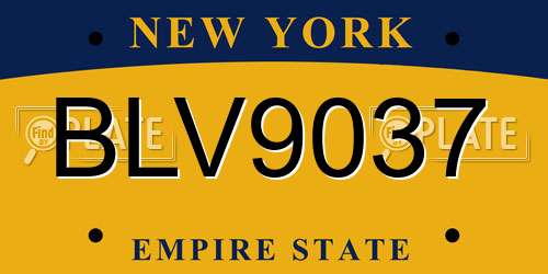 BLV9037 New York License Plate