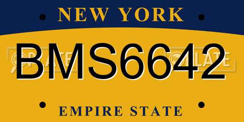 BMS6642 New York License Plate