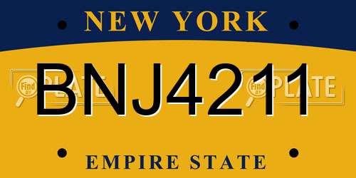 BNJ4211 New York License Plate