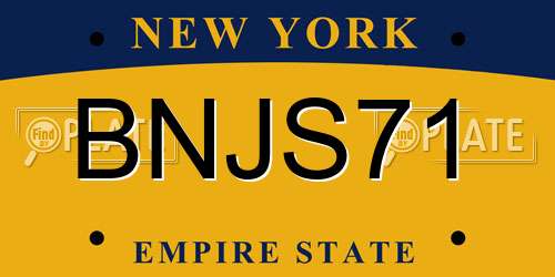 BNJS71 New York License Plate