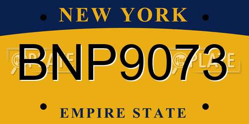 BNP9073 New York License Plate