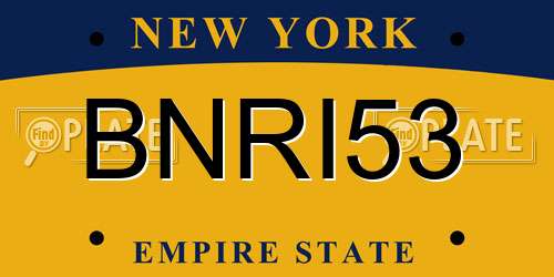 BNRI53 New York License Plate