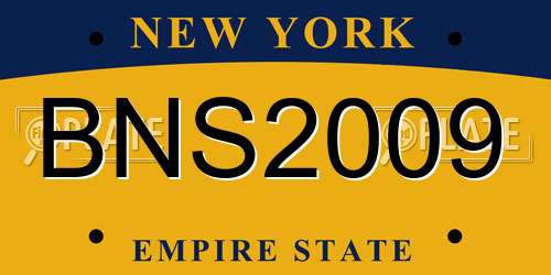 BNS2009 New York License Plate