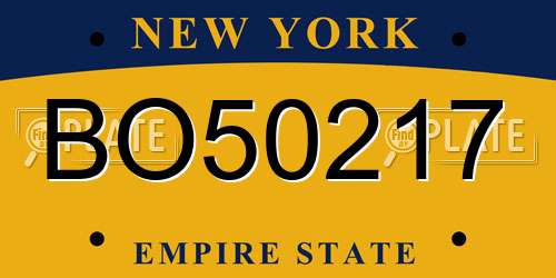 BO50217 New York License Plate