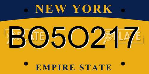 BO5O217 New York License Plate