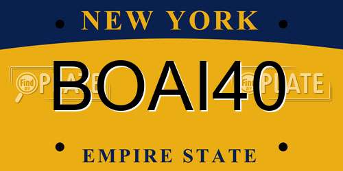 BOAI40 New York License Plate