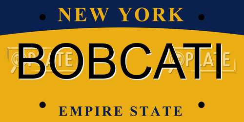 BOBCATI New York License Plate