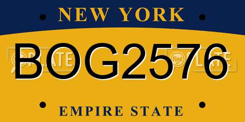 BOG2576 New York License Plate
