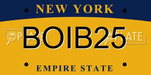 BOIB25 New York License Plate