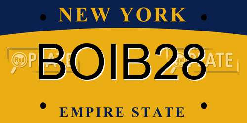 BOIB28 New York License Plate