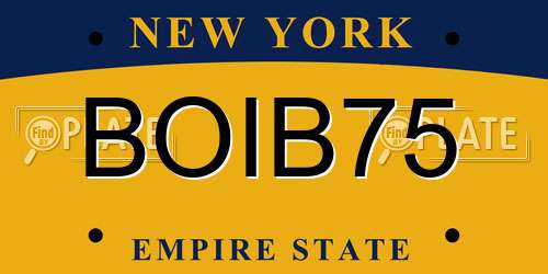 BOIB75 New York License Plate