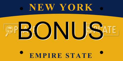 BONUS New York License Plate