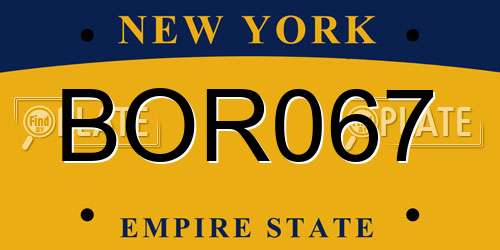 BOR067 New York License Plate