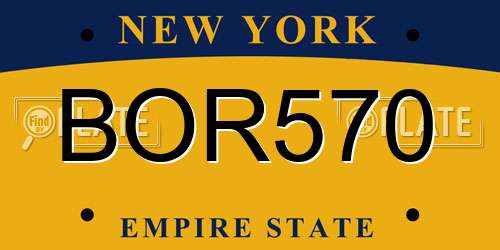 BOR570 New York License Plate