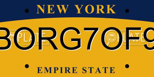 BORG7OF9 New York License Plate