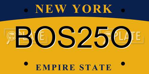 BOS25O New York License Plate