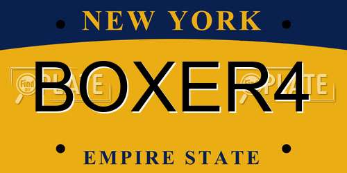 BOXER4 New York License Plate