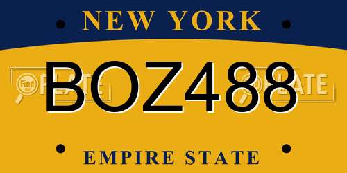 BOZ488 New York License Plate