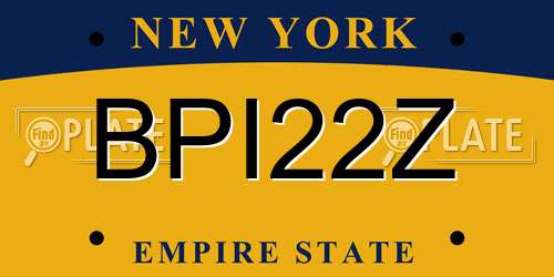 BPI22Z New York License Plate