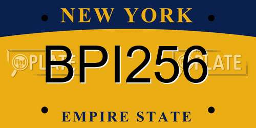 BPI256 New York License Plate