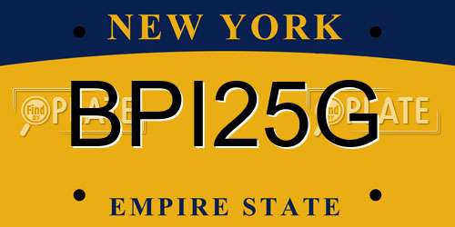 BPI25G New York License Plate