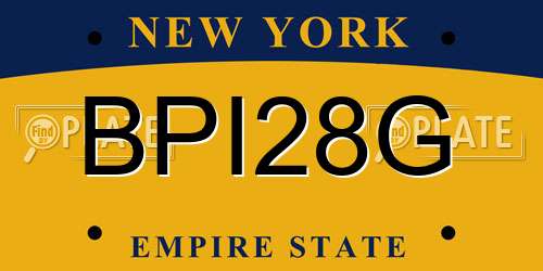 BPI28G New York License Plate