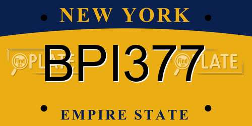 BPI377 New York License Plate
