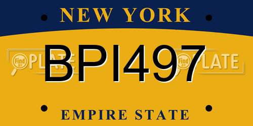 BPI497 New York License Plate