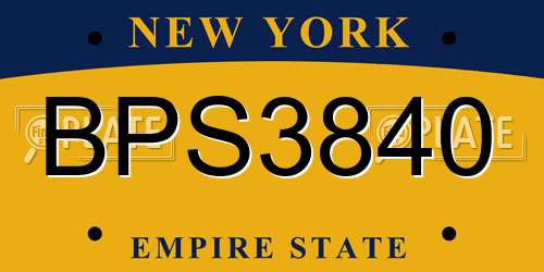 BPS3840 New York License Plate