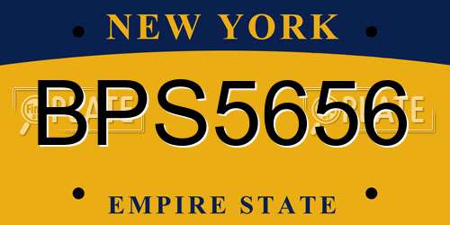 BPS5656 New York License Plate