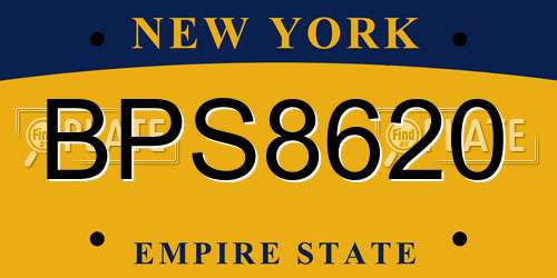 BPS8620 New York License Plate