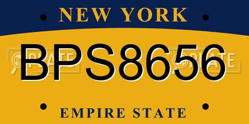 BPS8656 New York License Plate