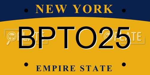 BPTO25 New York License Plate