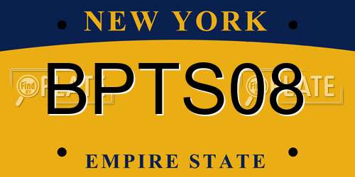 BPTS08 New York License Plate