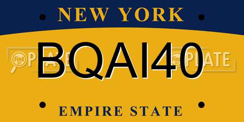 BQAI40 New York License Plate