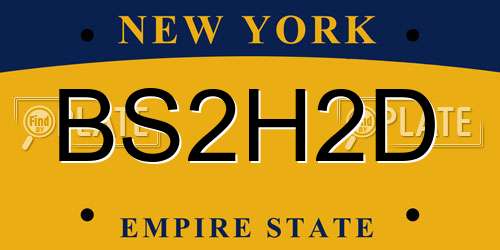 BS2H2D New York License Plate