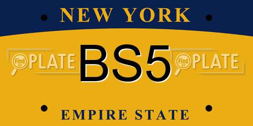 BS5 New York License Plate