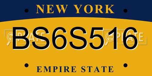 BS6S516 New York License Plate