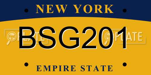 BSG201 New York License Plate