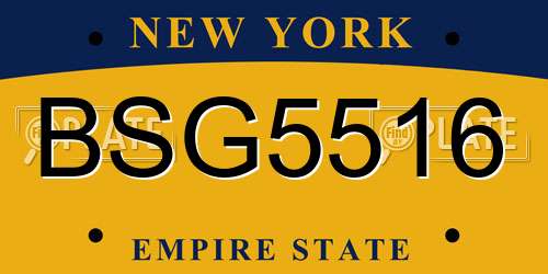 BSG5516 New York License Plate