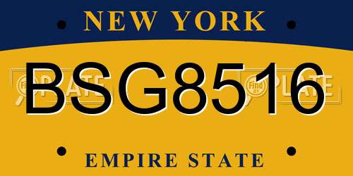 BSG8516 New York License Plate