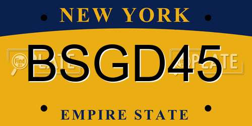 BSGD45 New York License Plate