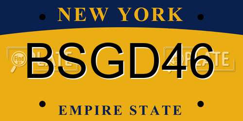 BSGD46 New York License Plate