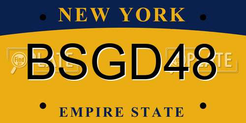 BSGD48 New York License Plate