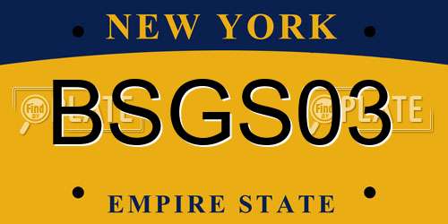 BSGS03 New York License Plate
