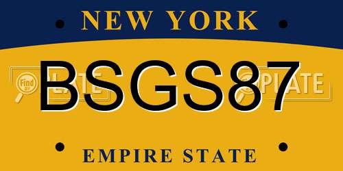 BSGS87 New York License Plate