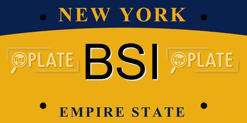 BSI New York License Plate