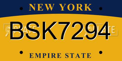 BSK7294 New York License Plate