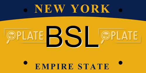 BSL New York License Plate