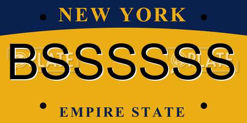 BSSSSSS New York License Plate